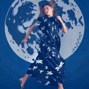 Cynthia Rowley Dress 2x Plus Size Black/Silver Kaf